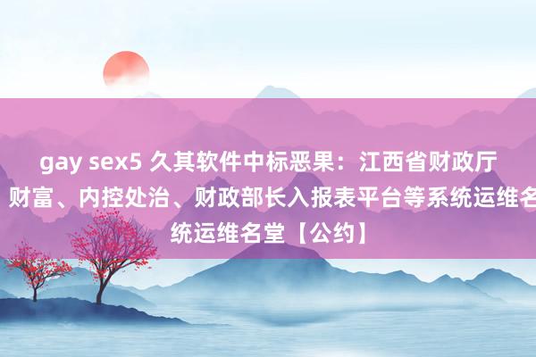 gay sex5 久其软件中标恶果：江西省财政厅采购决算、财富、内控处治、财政部长入报表平台等系统运维名堂【公约】