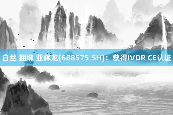 白丝 捆绑 亚辉龙(688575.SH)：获得IVDR CE认证