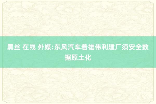 黑丝 在线 外媒:东风汽车着雄伟利建厂须安全数据原土化