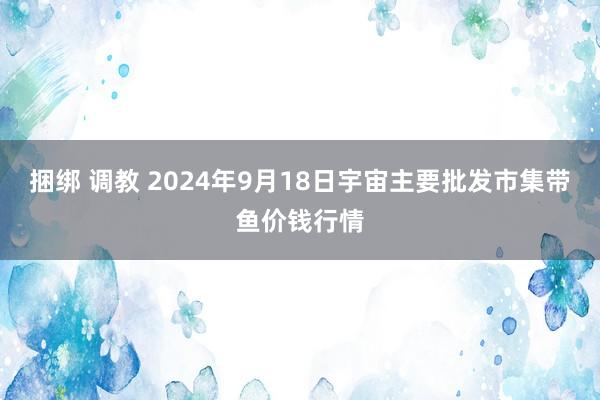 捆绑 调教 2024年9月18日宇宙主要批发市集带鱼价钱行情