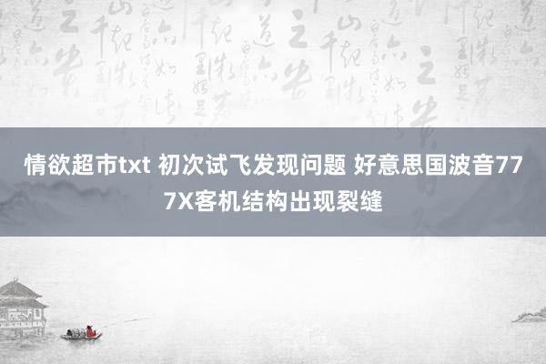 情欲超市txt 初次试飞发现问题 好意思国波音777X客机结构出现裂缝