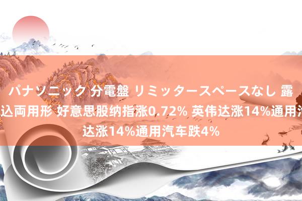 パナソニック 分電盤 リミッタースペースなし 露出・半埋込両用形 好意思股纳指涨0.72% 英伟达涨14%通用汽车跌4%