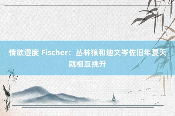 情欲湿度 Fischer：丛林狼和迪文岑佐旧年夏天就相互挑升