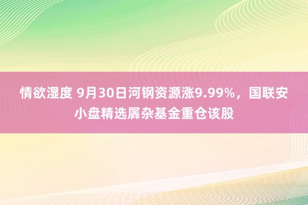 情欲湿度 9月30日河钢资源涨9.99%，国联安小盘精选羼杂基金重仓该股