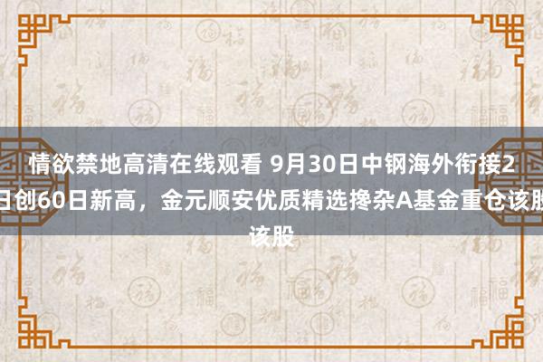 情欲禁地高清在线观看 9月30日中钢海外衔接2日创60日新高，金元顺安优质精选搀杂A基金重仓该股