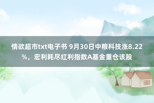 情欲超市txt电子书 9月30日中粮科技涨8.22%，宏利耗尽红利指数A基金重仓该股