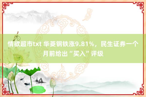 情欲超市txt 华菱钢铁涨9.81%，民生证券一个月前给出“买入”评级