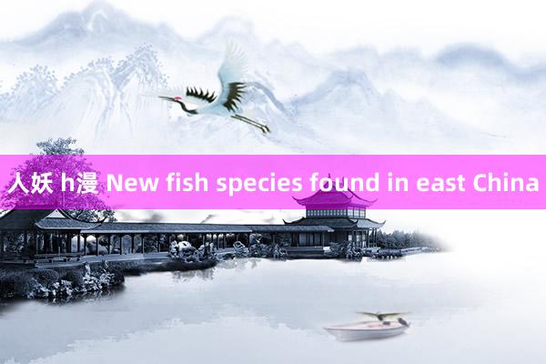 人妖 h漫 New fish species found in east China