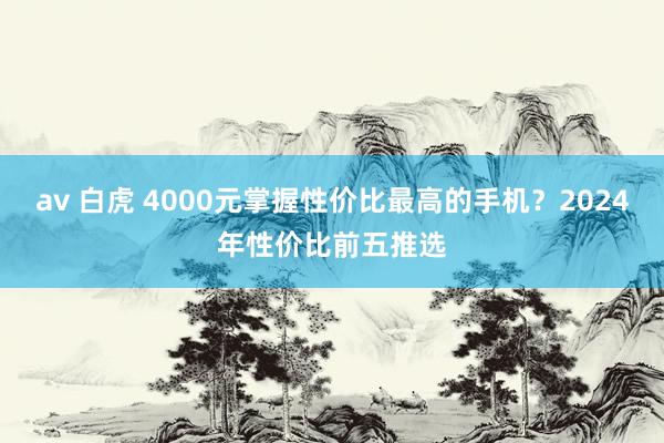 av 白虎 4000元掌握性价比最高的手机？2024年性价比前五推选