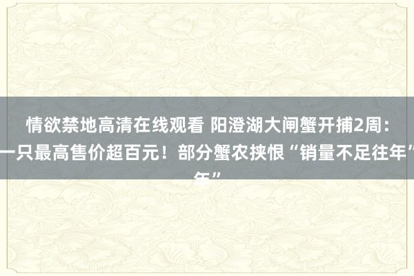 情欲禁地高清在线观看 阳澄湖大闸蟹开捕2周：一只最高售价超百元！部分蟹农挟恨“销量不足往年”