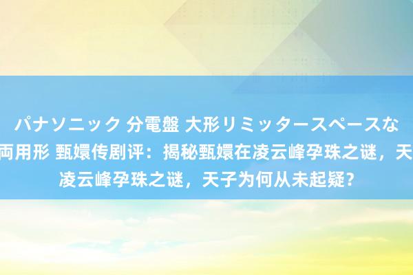 パナソニック 分電盤 大形リミッタースペースなし 露出・半埋込両用形 甄嬛传剧评：揭秘甄嬛在凌云峰孕珠之谜，天子为何从未起疑？