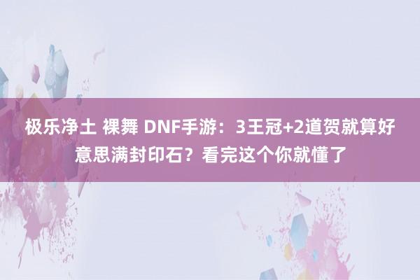 极乐净土 裸舞 DNF手游：3王冠+2道贺就算好意思满封印石？看完这个你就懂了