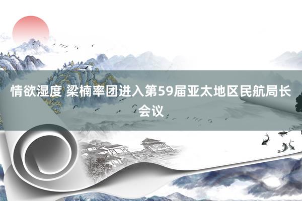 情欲湿度 梁楠率团进入第59届亚太地区民航局长会议