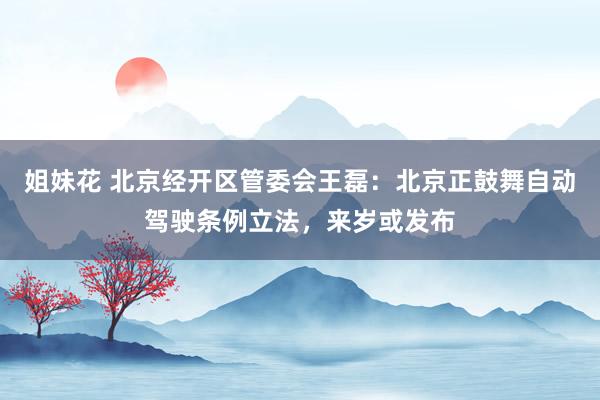 姐妹花 北京经开区管委会王磊：北京正鼓舞自动驾驶条例立法，来岁或发布