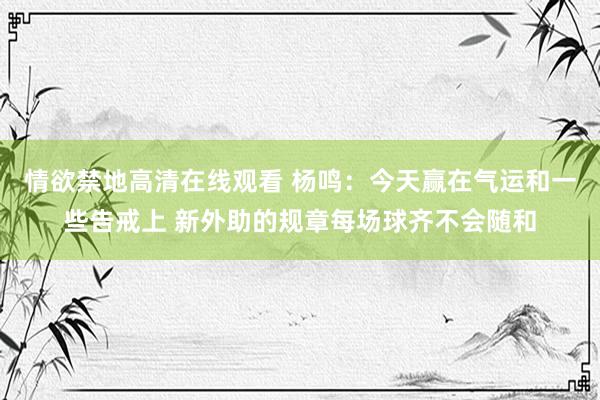 情欲禁地高清在线观看 杨鸣：今天赢在气运和一些告戒上 新外助的规章每场球齐不会随和