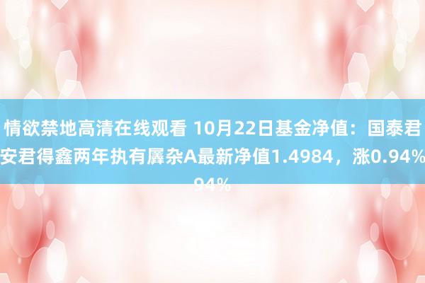 情欲禁地高清在线观看 10月22日基金净值：国泰君安君得鑫两年执有羼杂A最新净值1.4984，涨0.94%