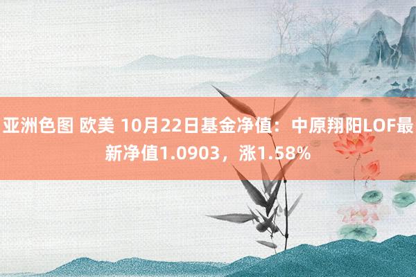 亚洲色图 欧美 10月22日基金净值：中原翔阳LOF最新净值1.0903，涨1.58%