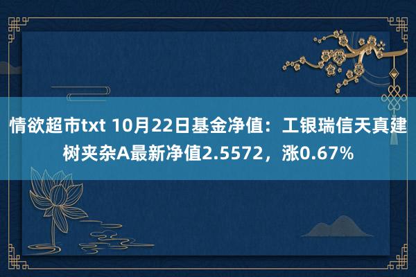 情欲超市txt 10月22日基金净值：工银瑞信天真建树夹杂A最新净值2.5572，涨0.67%