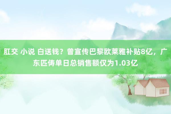 肛交 小说 白送钱？曾宣传巴黎欧莱雅补贴8亿，广东匹俦单日总销售额仅为1.03亿