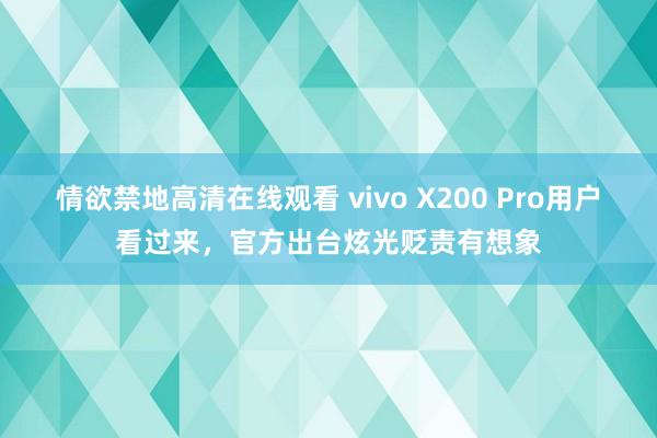 情欲禁地高清在线观看 vivo X200 Pro用户看过来，官方出台炫光贬责有想象