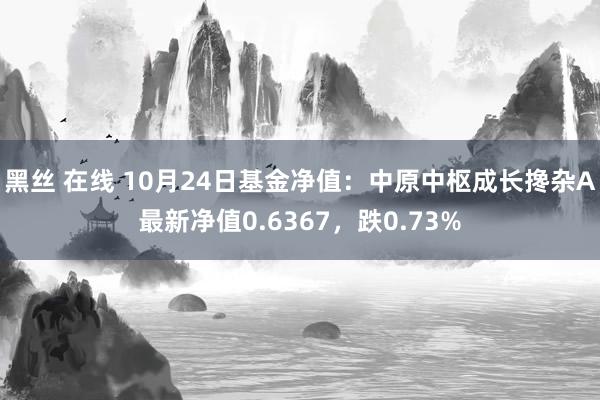 黑丝 在线 10月24日基金净值：中原中枢成长搀杂A最新净值0.6367，跌0.73%