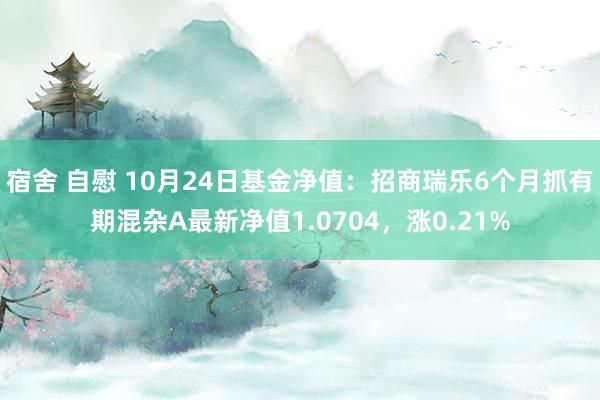 宿舍 自慰 10月24日基金净值：招商瑞乐6个月抓有期混杂A最新净值1.0704，涨0.21%