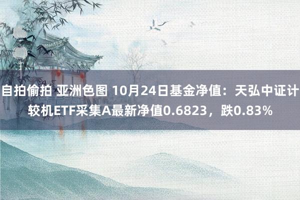 自拍偷拍 亚洲色图 10月24日基金净值：天弘中证计较机ETF采集A最新净值0.6823，跌0.83%