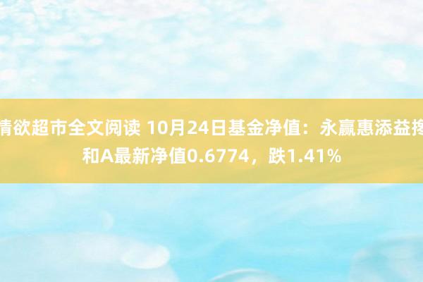 情欲超市全文阅读 10月24日基金净值：永赢惠添益搀和A最新净值0.6774，跌1.41%