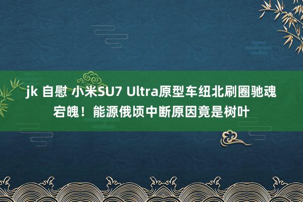 jk 自慰 小米SU7 Ultra原型车纽北刷圈驰魂宕魄！能源俄顷中断原因竟是树叶