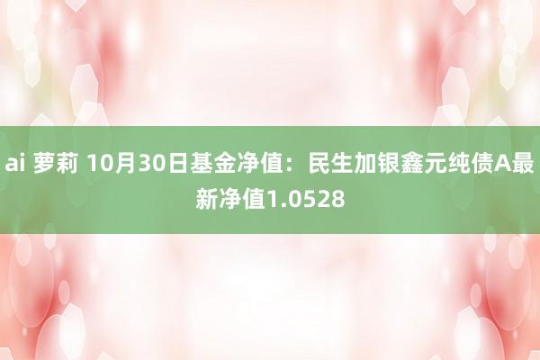 ai 萝莉 10月30日基金净值：民生加银鑫元纯债A最新净值1.0528