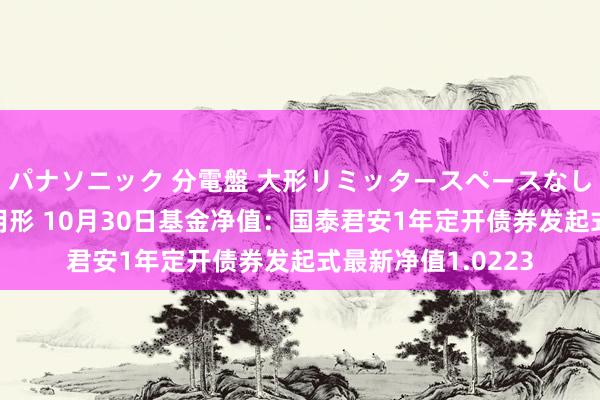 パナソニック 分電盤 大形リミッタースペースなし 露出・半埋込両用形 10月30日基金净值：国泰君安1年定开债券发起式最新净值1.0223