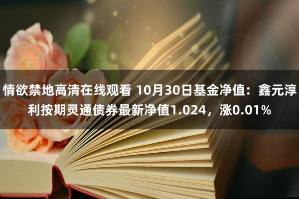 情欲禁地高清在线观看 10月30日基金净值：鑫元淳利按期灵通债券最新净值1.024，涨0.01%