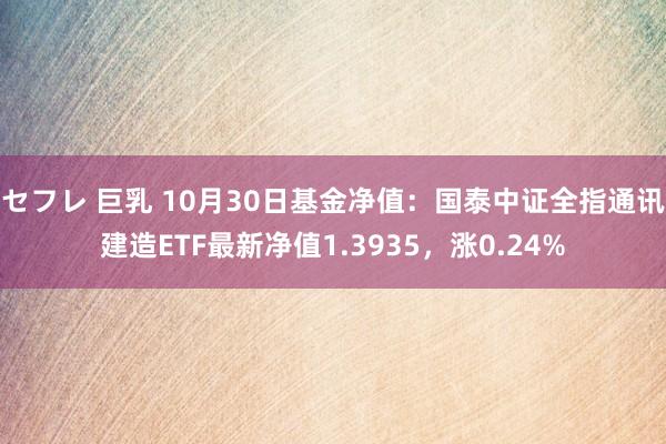 セフレ 巨乳 10月30日基金净值：国泰中证全指通讯建造ETF最新净值1.3935，涨0.24%