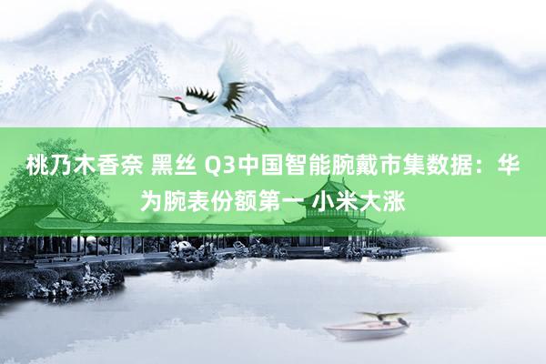 桃乃木香奈 黑丝 Q3中国智能腕戴市集数据：华为腕表份额第一 小米大涨