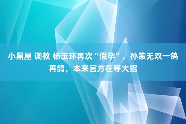 小黑屋 调教 杨玉环再次“假孕”，孙策无双一鸽再鸽，本来官方在等大招