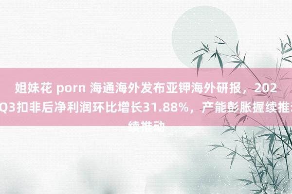 姐妹花 porn 海通海外发布亚钾海外研报，2024Q3扣非后净利润环比增长31.88%，产能彭胀握续推动