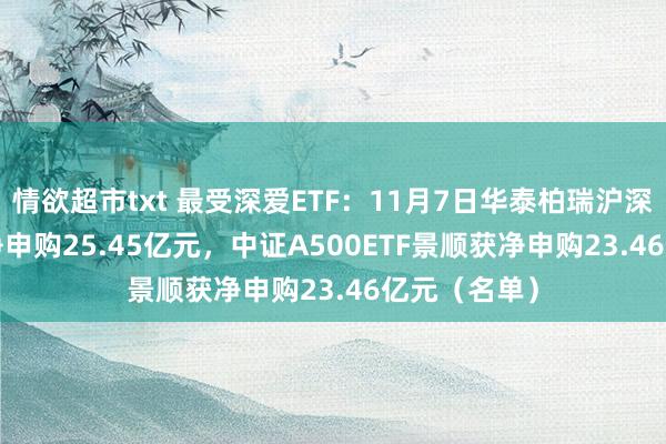 情欲超市txt 最受深爱ETF：11月7日华泰柏瑞沪深300ETF获净申购25.45亿元，中证A500ETF景顺获净申购23.46亿元（名单）